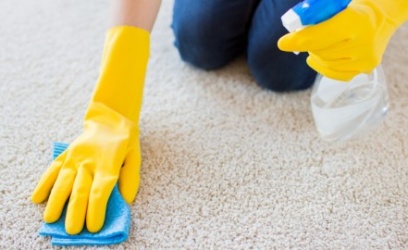 5 Easy Carpet Maintenance Tips