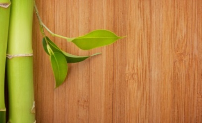 What Are The Advantages Of Bamboo Flooring